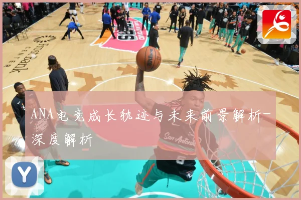 ANA电竞成长轨迹与未来前景解析-深度解析