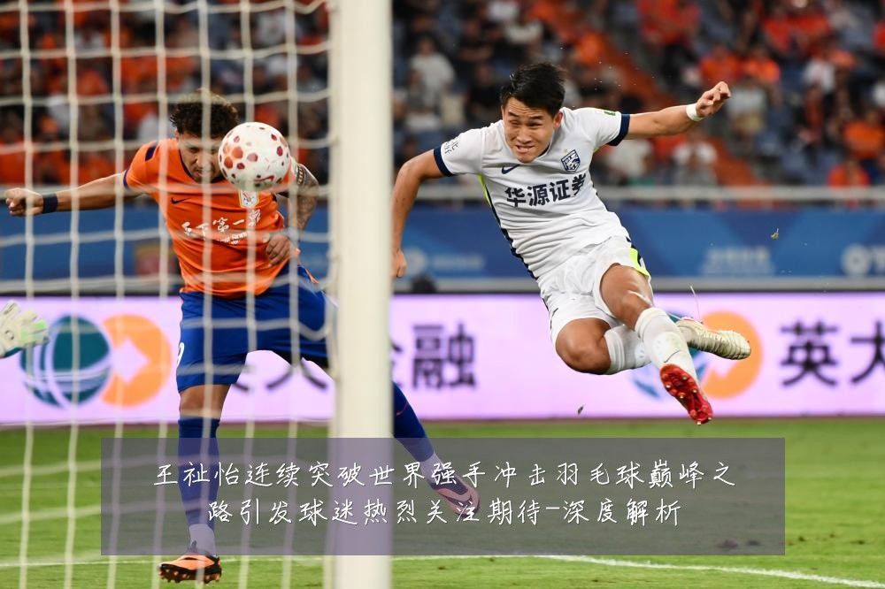 王祉怡连续突破世界强手冲击羽毛球巅峰之路引发球迷热烈关注期待-深度解析